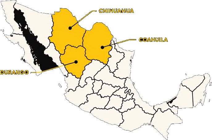 Regiones de producción de Sotol en Chihuahua, Coahuila y Durango, México