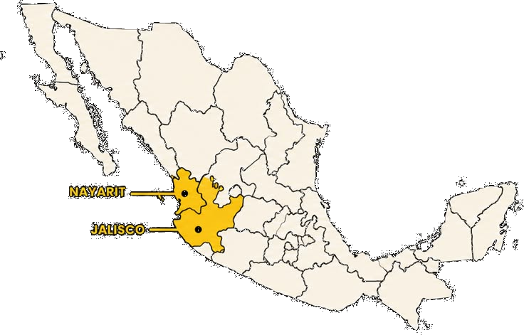 Regiones de producción de Raicilla en Jalisco y Nayarit, México