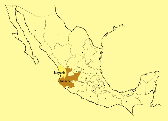Regiones de producción de Raicilla en Jalisco y Nayarit, México
